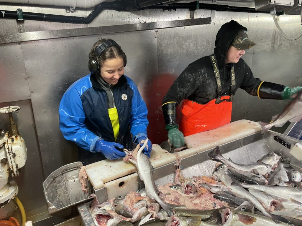 På et togt i Barentshavet arbejdede hun sammen med besætningen, når hun ikke lavede undersøgelser af skibets fangstliner.